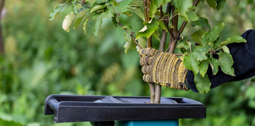 Jaki rozdrabniacz do gałęzi wybrać?