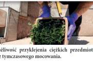 więcej