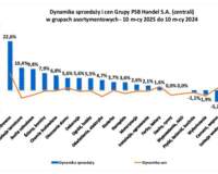 Sprzedaż i ceny materiałów budowlanych po 10 miesiącach 2025 roku