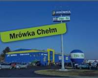 Mrówka Chełm