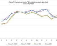 Sytuacja na rynku oraz wyniki Grupy PSB w 2025 roku 