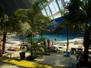 Mikołajki kupców i dostawców PSB na Tropikalnej Wyspie