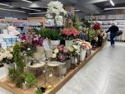 W Mrówce Ryki otwarto dział home&decor