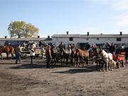 Hubertus z Agrobudem