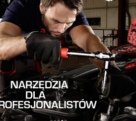 System akumulatorowy Tryton 20V
