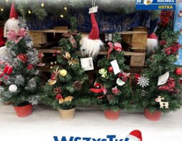 PSB Mrówka Ustka - Mikołaj i Boże Narodzenie