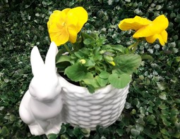 PSB Mrówka Myślenice - Święta Wielkanocne