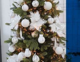 PSB Mrówka Kwidzyn - Mikołaj i Boże Narodzenie