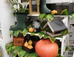 PSB Mrówka Wołomin - Halloween