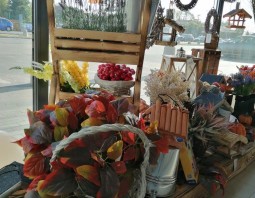 PSB Mrówka Wołomin - Halloween