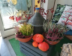 PSB Mrówka Grodzisk Mazowiecki - Halloween