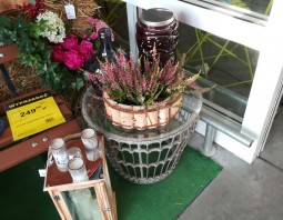 PSB Mrówka Grodzisk Mazowiecki - Halloween