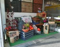 PSB Mrówka Grodzisk Mazowiecki - Halloween