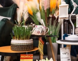 PSB Mrówka Myślenice - Dekoracje