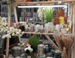 PSB Mrówka Pińczów