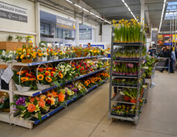 PSB Mrówka Sochaczew