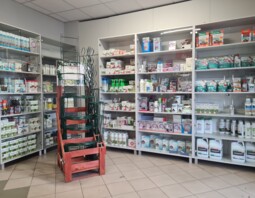 PSB GEES-KRUPA Toszek