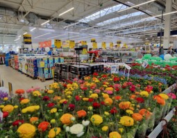 PSB Mrówka Kluczbork