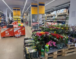 PSB Mrówka Włocławek