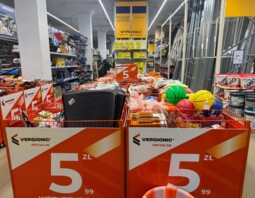 PSB Mrówka Włocławek