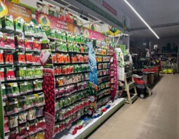 PSB Mrówka Włocławek