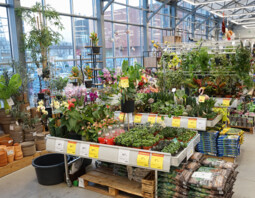 PSB Mrówka Wałbrzych