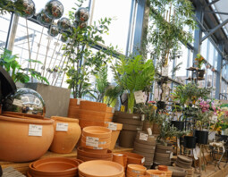 PSB Mrówka Wałbrzych