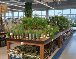 PSB Mrówka Biłgoraj