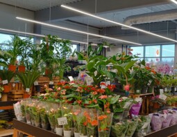 PSB Mrówka Biłgoraj