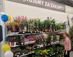PSB Mrówka Powroźnik