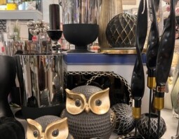 PSB Mrówka Sulechów