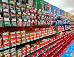 PSB Mrówka Mały Płock