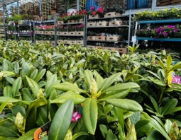 PSB Mrówka Niepołomice