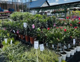 PSB Mrówka Niepołomice