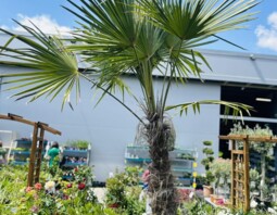 PSB Mrówka Niepołomice