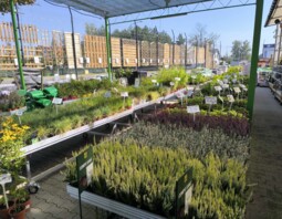 PSB Mrówka Namysłów