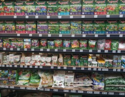 PSB Mrówka BlękwitOgród 13