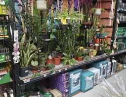 PSB Mrówka BlękwitOgród 2