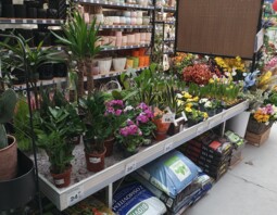 PSB Mrówka BlękwitOgród 1