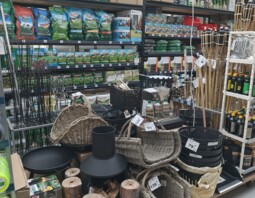 PSB Mrówka BlękwitOgród 4