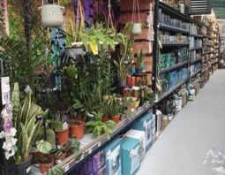 PSB Mrówka BlękwitOgród lewa strona