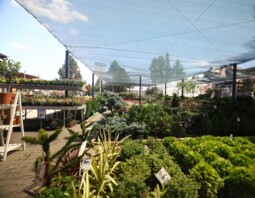 PSB Mrówka Nowy Wiśnicz