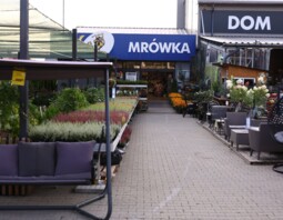 PSB Mrówka Nowy Wiśnicz
