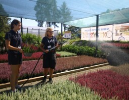 PSB Mrówka Nowy Wiśnicz