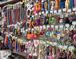 PSB Mrówka Elbląg ul. Grunwaldzka