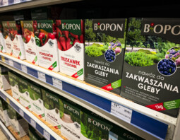 PSB Mrówka Miastko