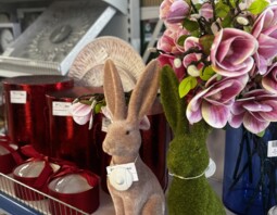 PSB Mrówka Pawłów