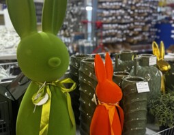 PSB Mrówka Pawłów