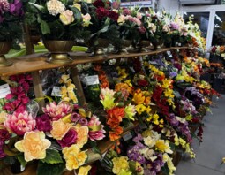 PSB Mrówka Pawłów