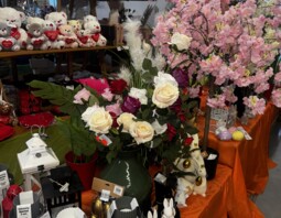 PSB Mrówka Pawłów